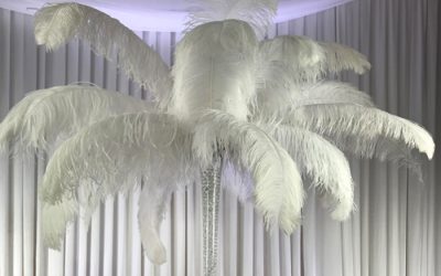 Ostrich Feathers