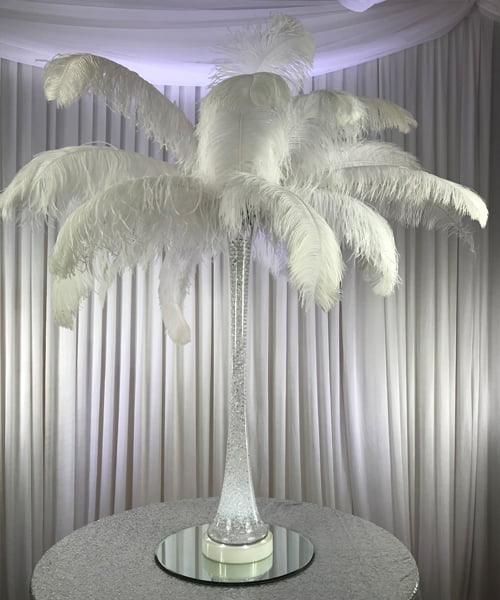 Ostrich deals feather vase