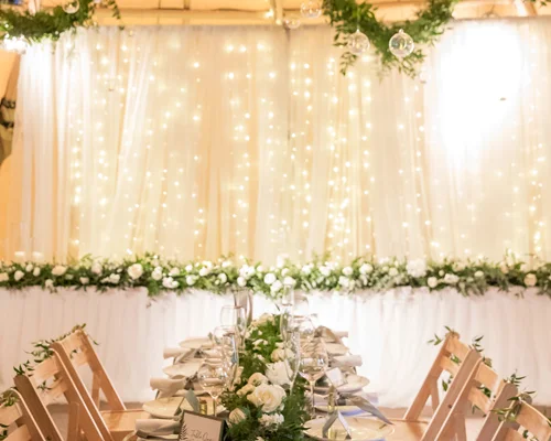 Starlight Backdrop
